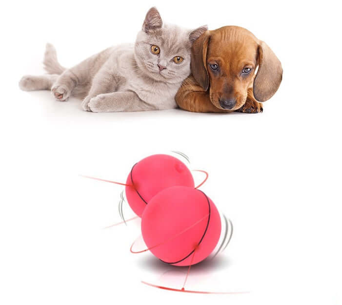 LED Laser Electronic Rolling Pet Funny Cat Toy Ball with a cat and dog together.