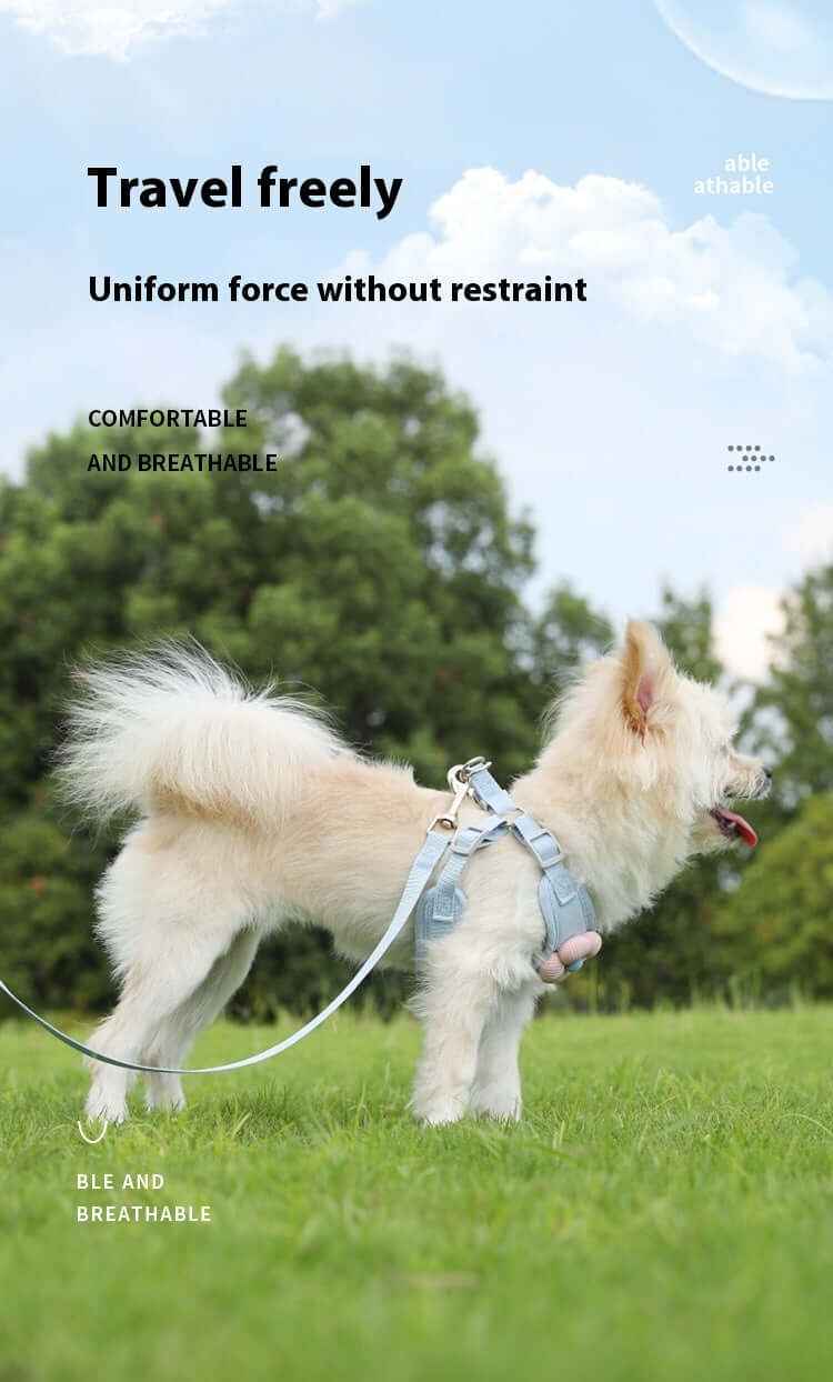 Dog Rope Leash Vest-style Chest Strap Dog Leash